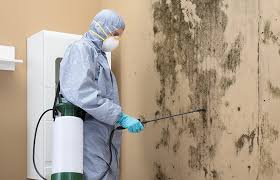 Best Mold Odor Removal Services in Asotin, WA